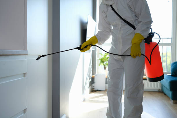 Best Emergency Mold Remediation in Ozk, AR